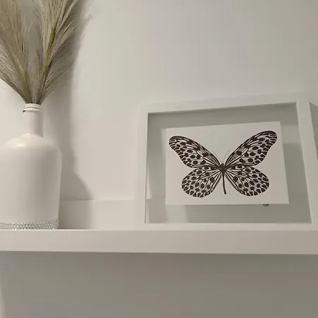 Con Solera * Jerez de la Frontera