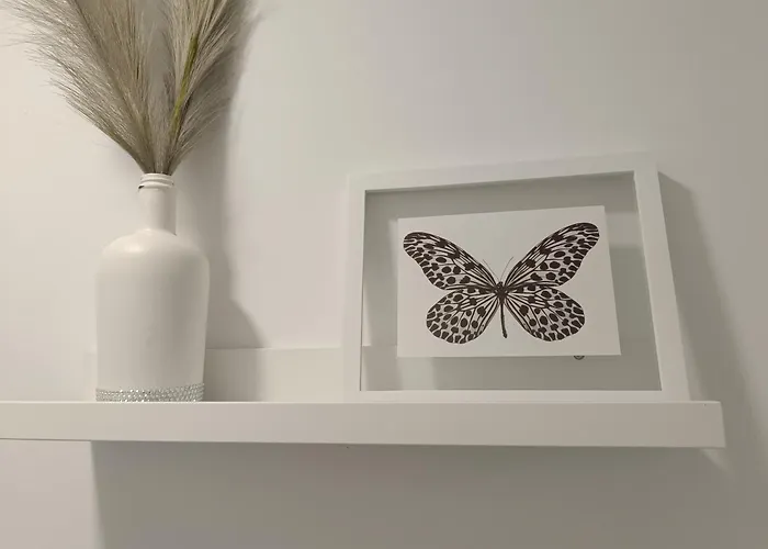 Con Solera * 赫雷斯